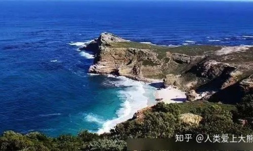 青木瓜汁的做用-青木瓜汁的功效网 :分享青木瓜汁的功效与禁忌-青木瓜汁液有什么功效知识