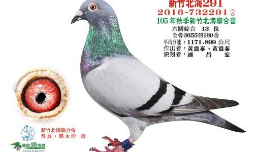 青木瓜汁的功效是什么-青木瓜汁的功效网 :分享青木瓜汁的功效与禁忌-青木瓜汁液有什么功效知识