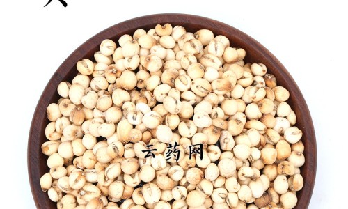 青木瓜汁的功效网 :分享青木瓜汁的功效与禁忌-青木瓜汁液有什么功效知识