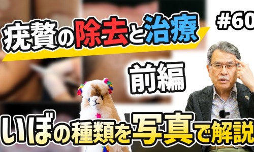 青木瓜汁的功效与作用-青木瓜汁的功效网 :分享青木瓜汁的功效与禁忌-青木瓜汁液有什么功效知识